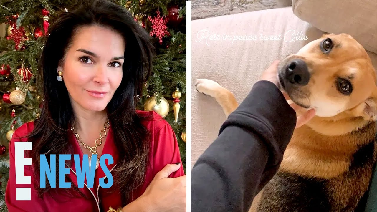 New Details Surrounding Angie Harmon’s Dog Being Killed By a Delivery Driver | E! News