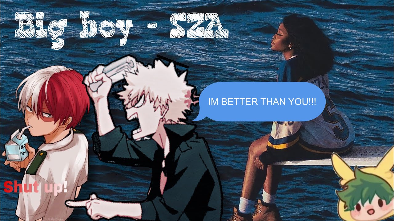 BNHA/MHA 