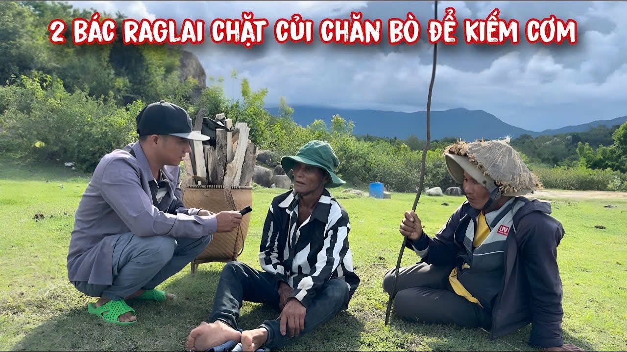 Lời TÂM SỰ của 2 bác RAGLAI đi chặt củi, chăn bò thuê để kiếm CƠM nghe mà thương../70