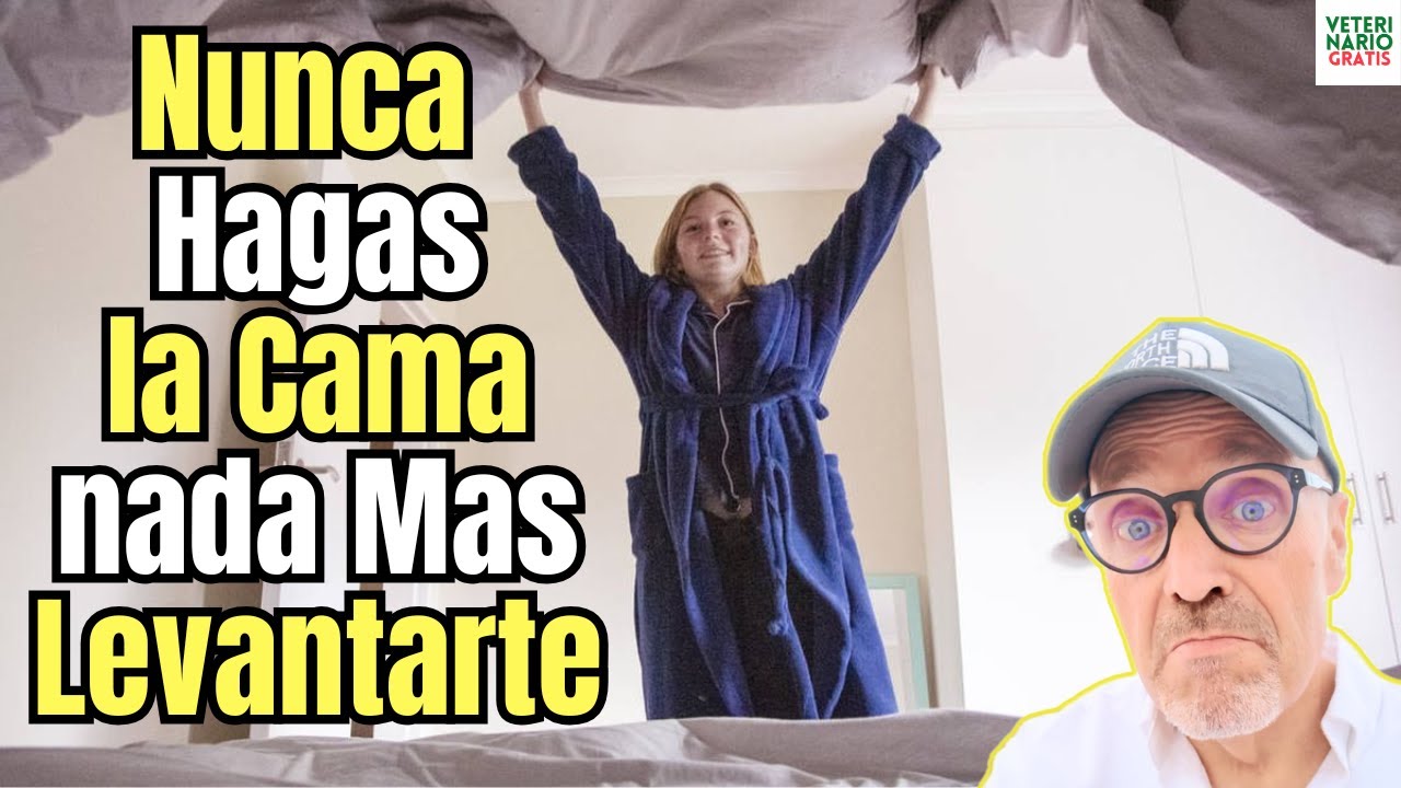 🛏️😮‍💨 ¿PORQUE ES MALO HACER LA CAMA NADA MAS LEVANTARSE? 🛏️😮‍💨