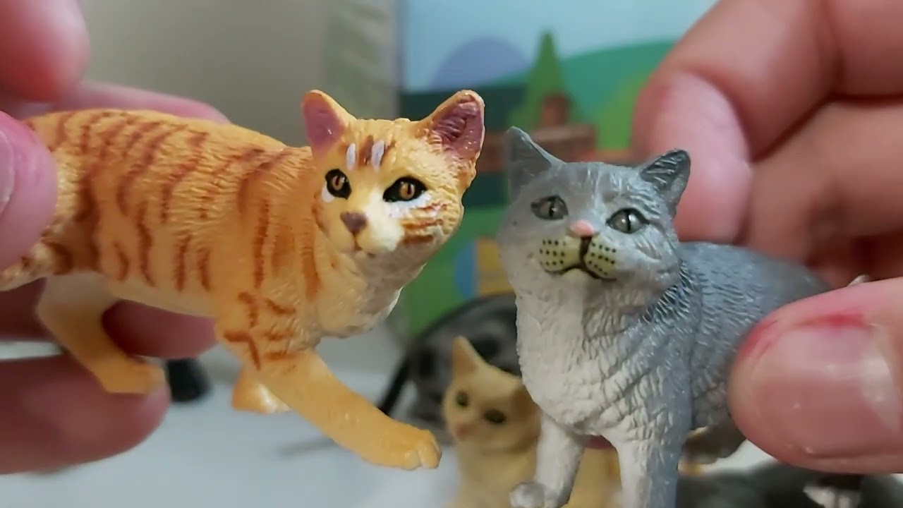 I Unbox The Toymany Cat Set
