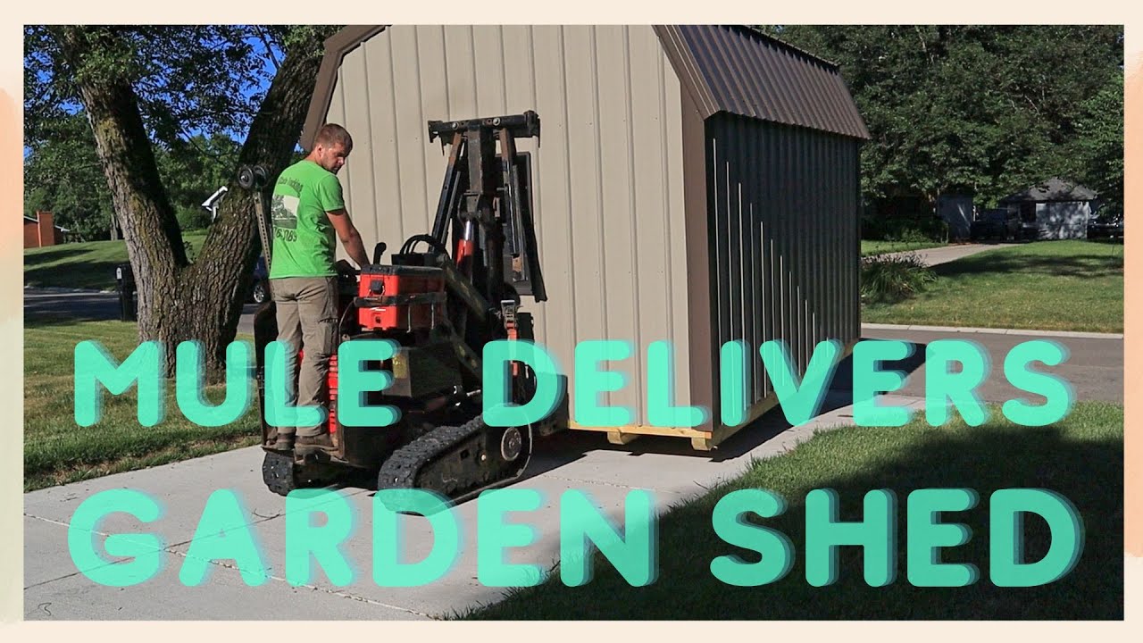 Watch This Before You Have a Garden Shed Delivered! They Do This With A Mule?