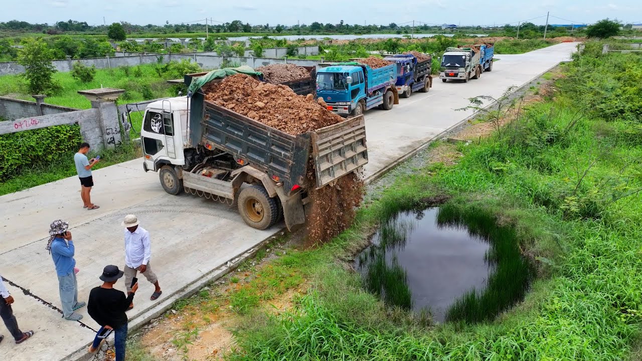Wonderful First New Project! Complete 100% Landfill up Forest Bulldozer & Truck 5T Pushing Land Fast