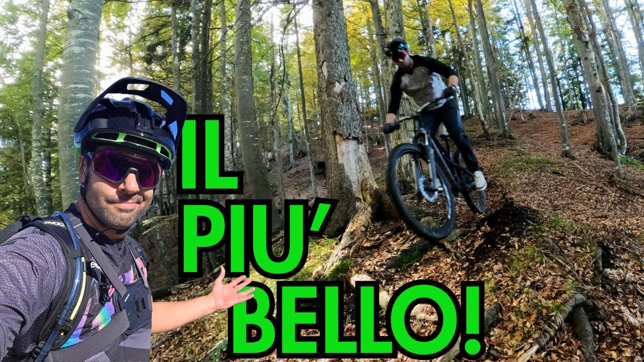 IL TRAIL più BELLO DEL FRIULI?! 🤩ARLECCHINO TRAIL, MONTE ACOMIZZA, TARVISIO MTB