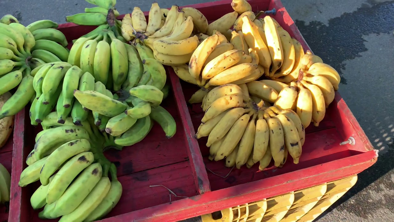 Feira do produtor rural da cidade de Apiaí,SP 05/06/2021