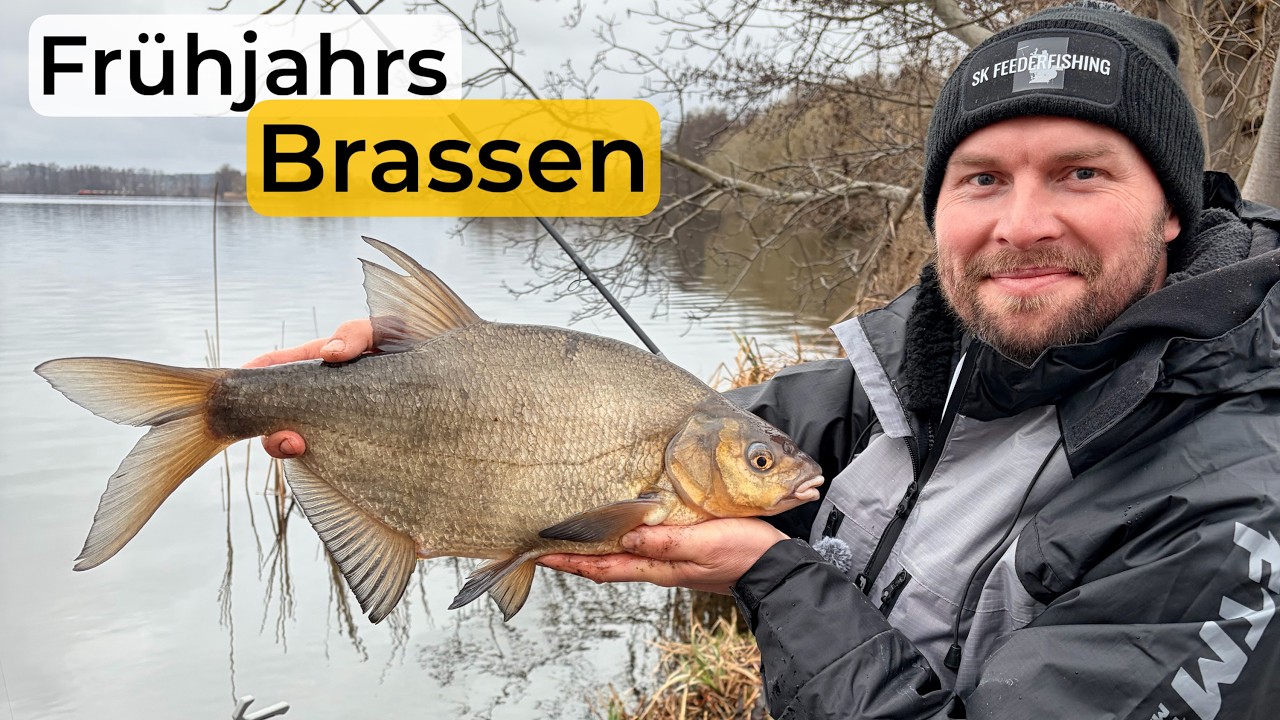 Jetzt dicke Brassen feedern. So angelt der Landesmeister im Frühjahr.
