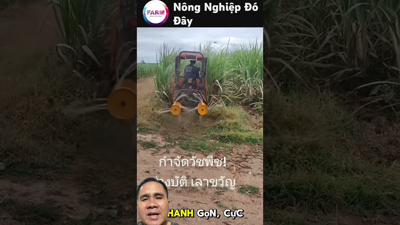 M&aacute;y Dọn Cỏ #nongdan #farming