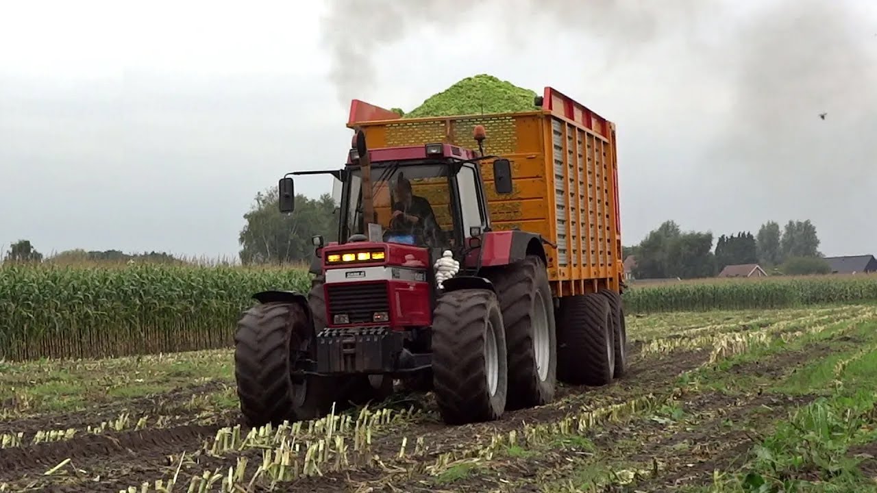 Case International 1455 XL + Case IH Puma 230 CVX | Harvesting mais | Nap | NL.