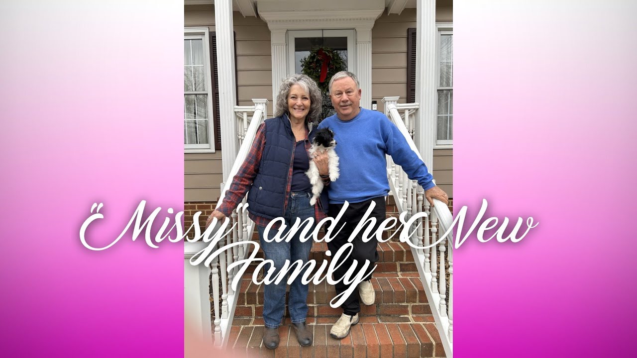 Missy Puppy Video
