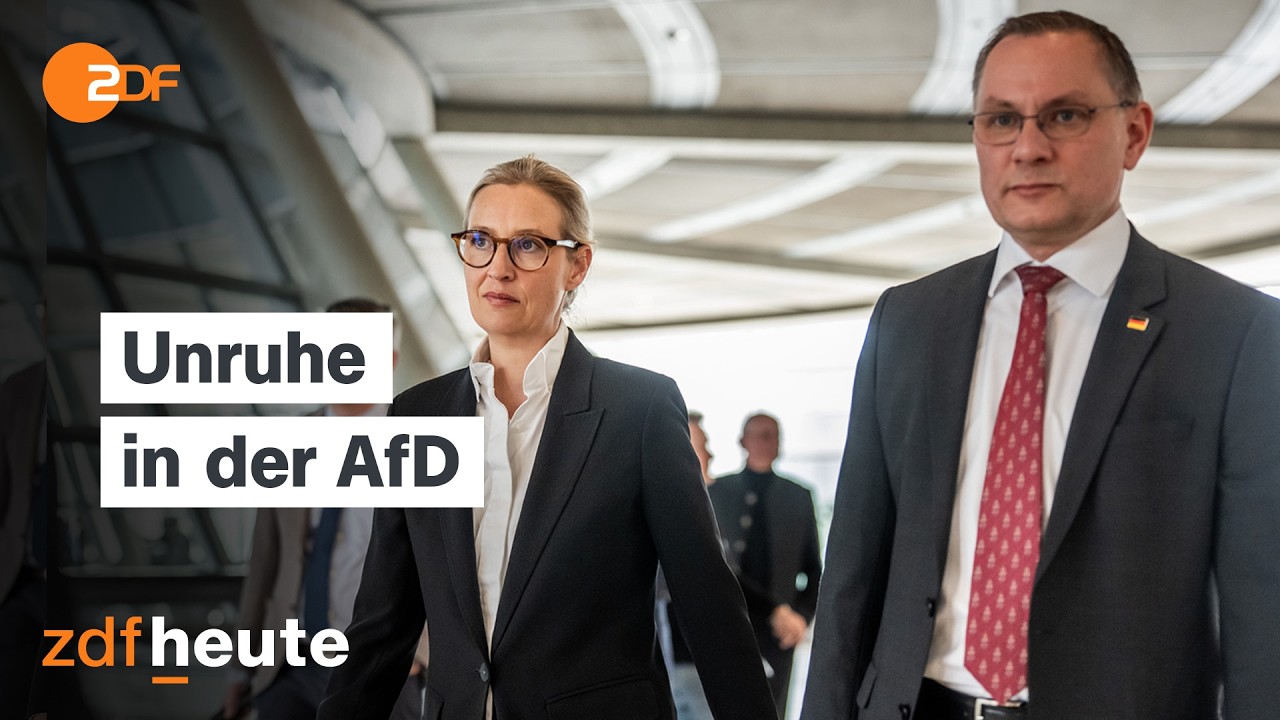 Vorwurf der Vetternwirtschaft &ndash; Was hat die AfD daraus gelernt? | frontal
