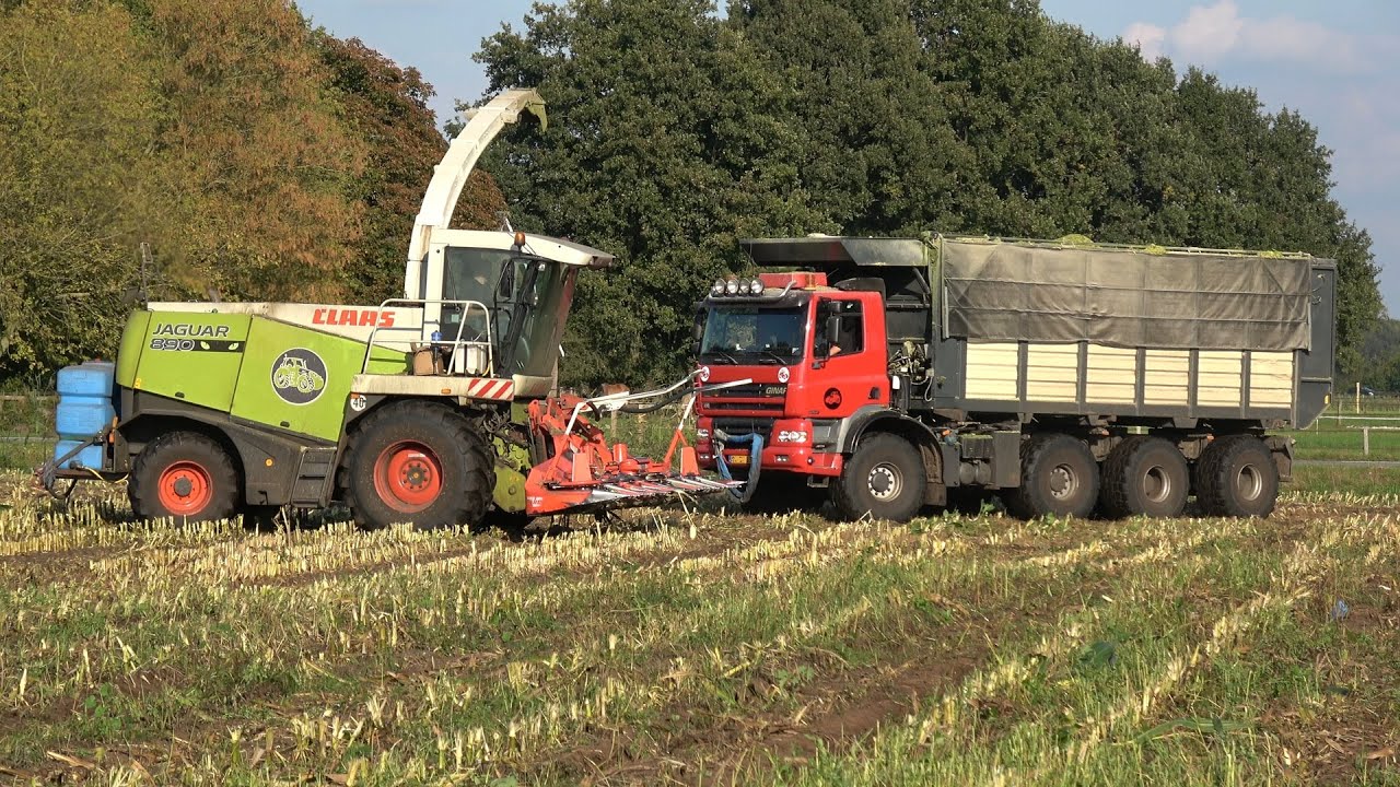 Mais hakselen door vd Peppel met Claas Jaguar 890, Ginaf X 4446 TS en Massey Ferguson 7720S (2025)