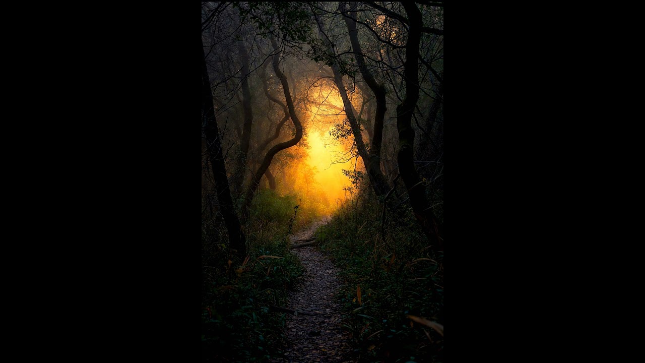 From darkness to light©