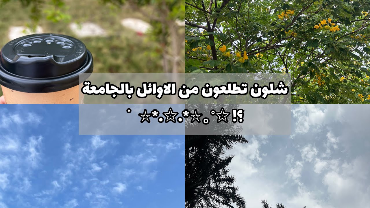 فيديو|شلون تطلعون من الاوائل بالجامعة|نصائح🎐📚☁️✨