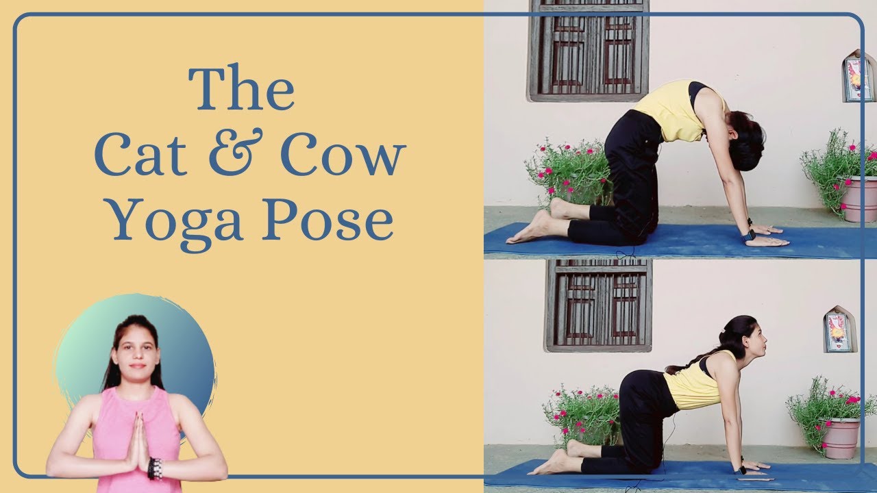 Cat and Cow Yoga Pose for back | Cat and Cow exercise benefits | Cat and Cow step by step in Hindi