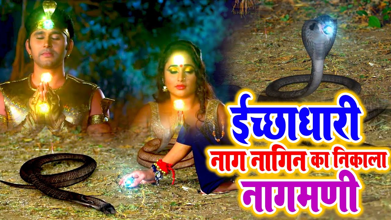 देखिये सपेरा और तांत्रिक ने कैसे निकाला इच्छाधारी नाग नागिन का #नागमणि - Rani Chatterji New Movie