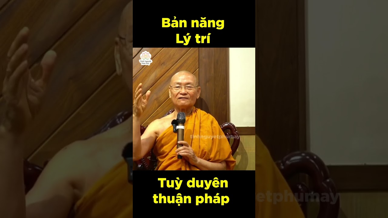 Tuỳ duyên thuận pháp #phatphap #loiphatday #adidaphat #vienminh
