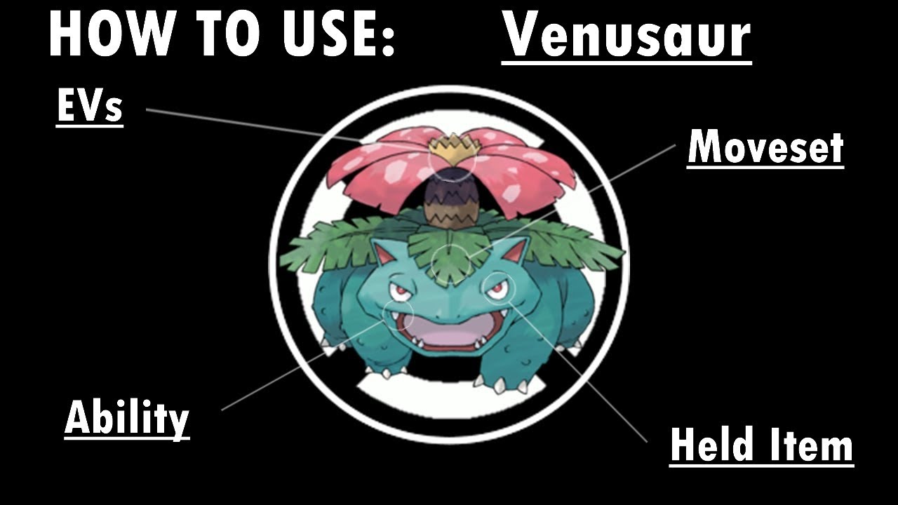 How to use Venusaur (& Mega-Venusaur)