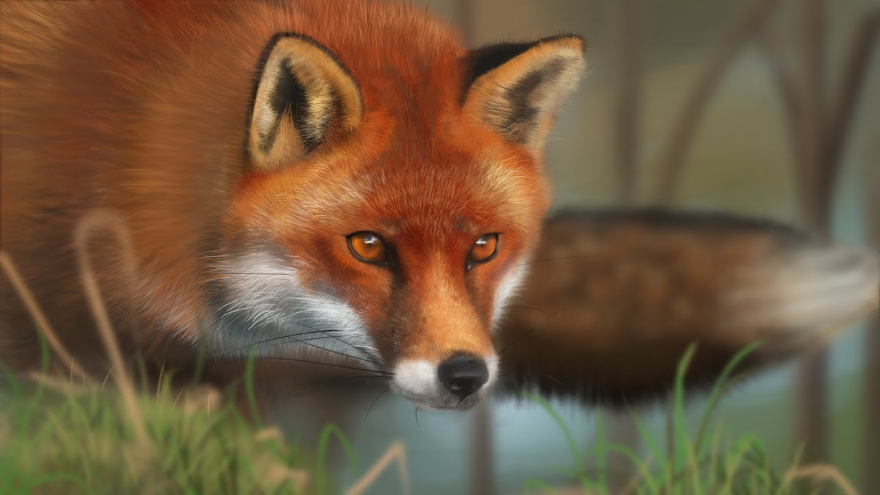 Uma obra Prima Produzida Pelo Kodama Angry Fox Pilgrim | Indulgência Patológica e Amor Cortês 🦊