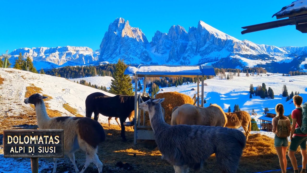 Доломитовые Альпы: Альпе-ди-Сьюзи, которую нельзя пропустить Добавить в маршрут 12.12.24