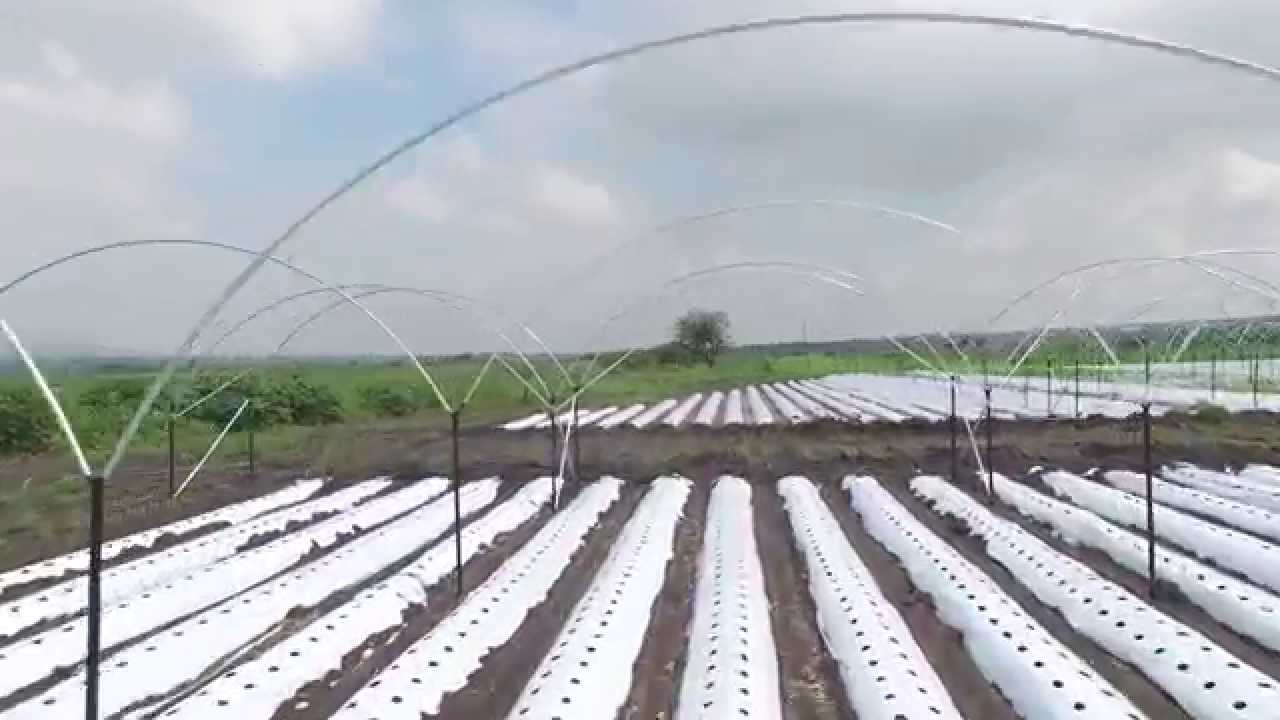 Desde Arriba Macrotuneles  Irapuato
