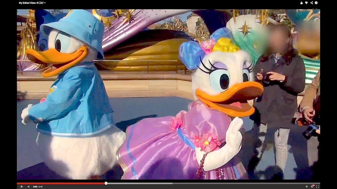 Donald and Daisy's funny, lovely greeting (Tokyo Disneysea)
