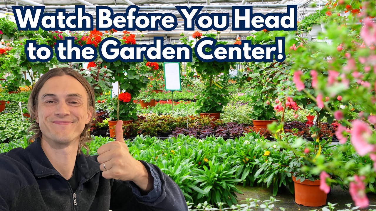 How to Pick the Right Plants for Landscaping - Your Garden Starts Here