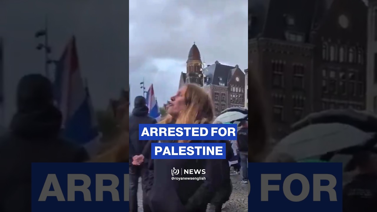 Pro-Palestine activist arrested at Amsterdam pro-'Israeli' demonstration