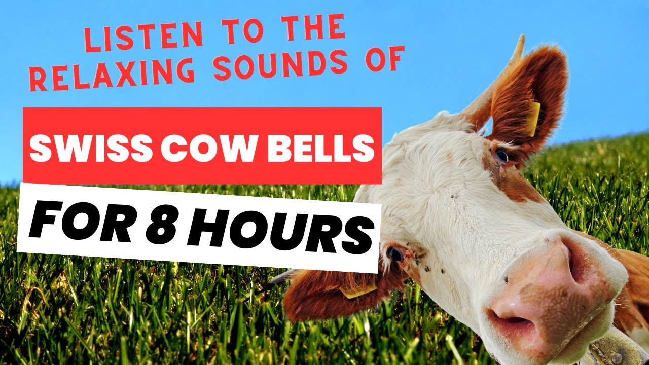 Swiss Cow Bell Symphony: 8 Hours of Mesmerising Alpine Melodies