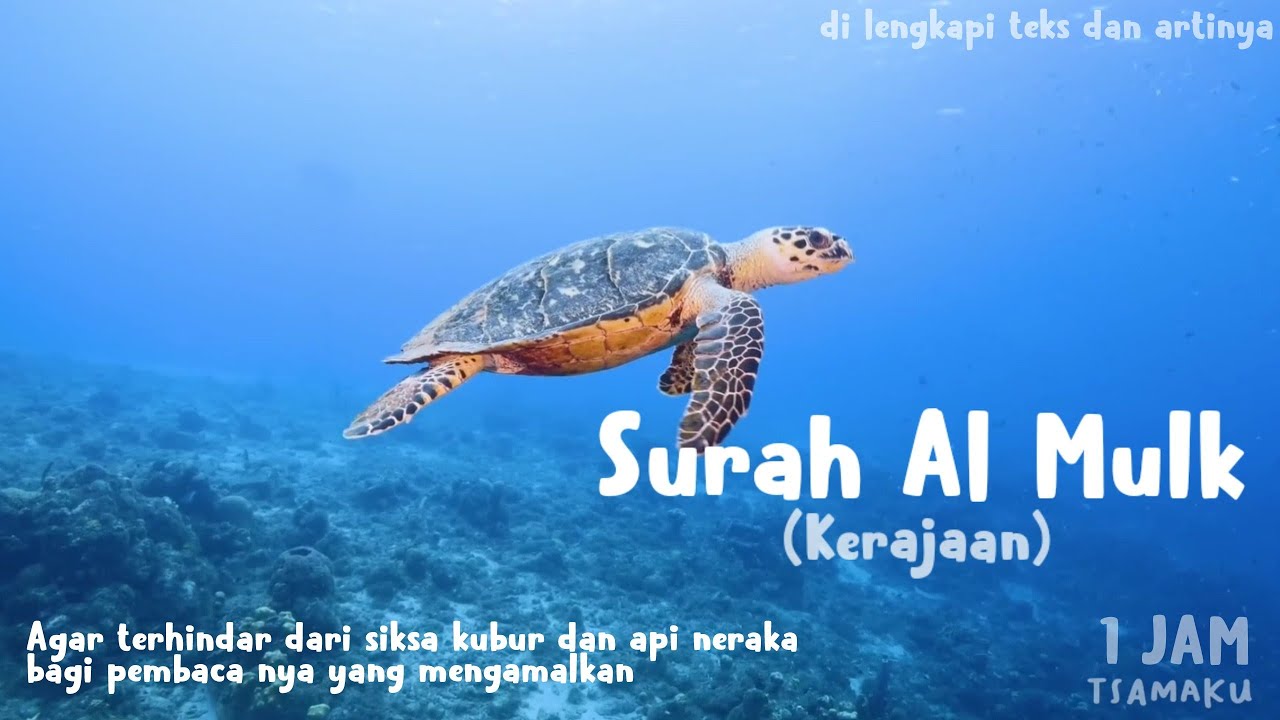 SURAH AL MULK Irama Jiharkah Merdu 1jam