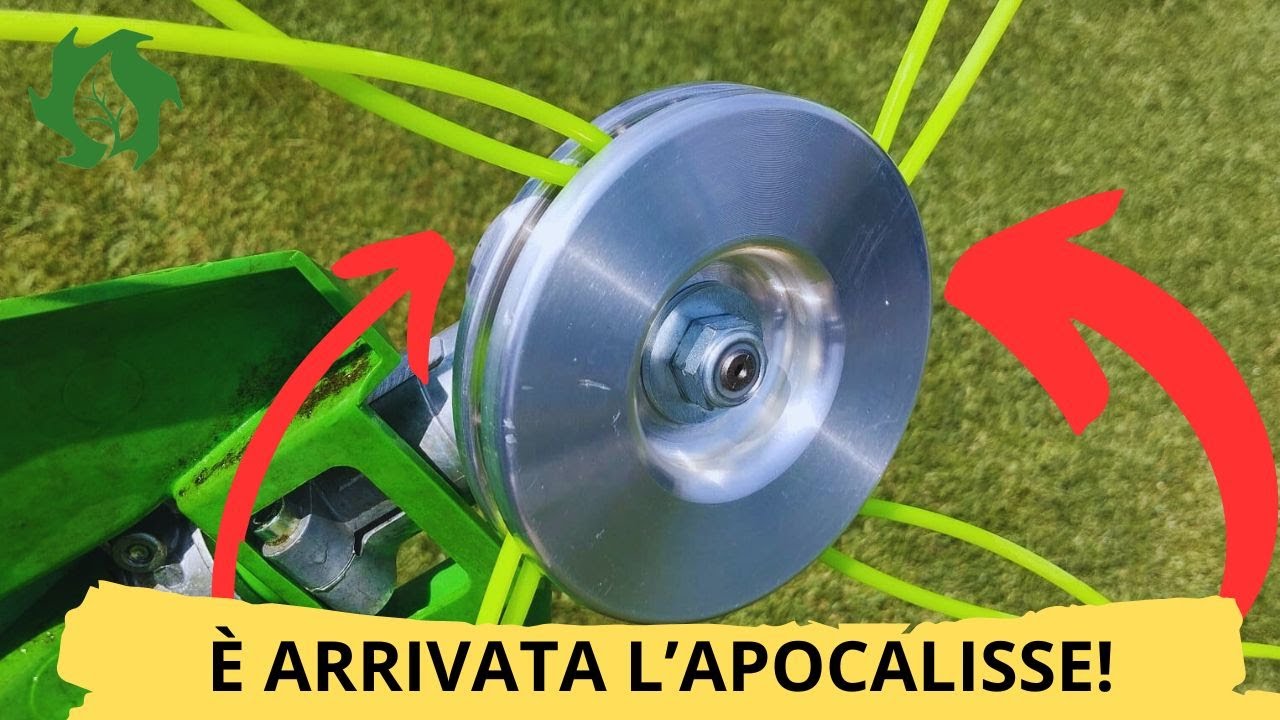 Questa TESTINA è la fine del mondo !