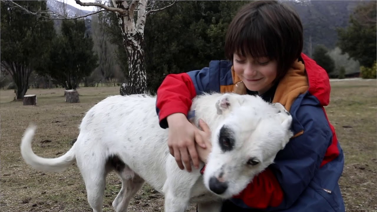 un mensaje al mundo ( video oficial )