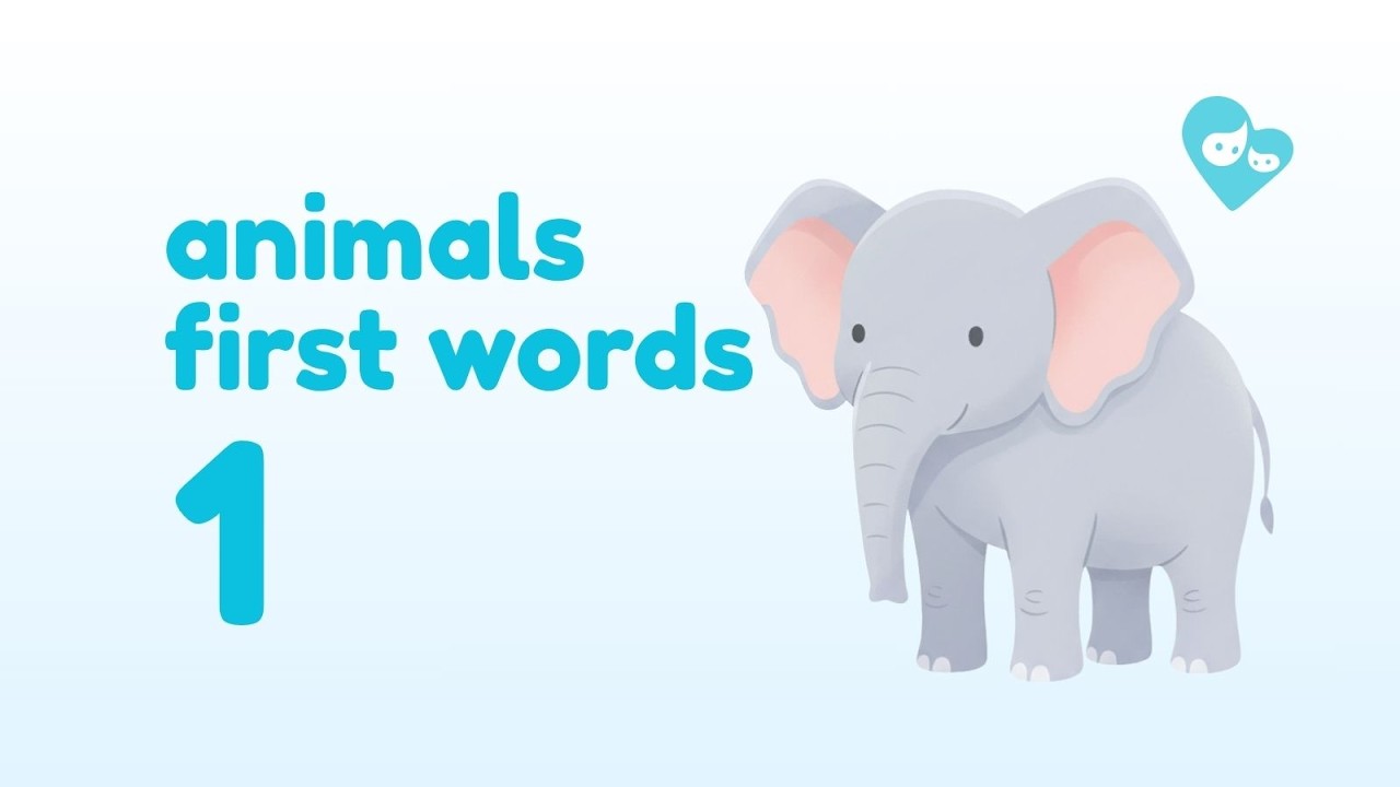 Animals • First Words #1 🐾