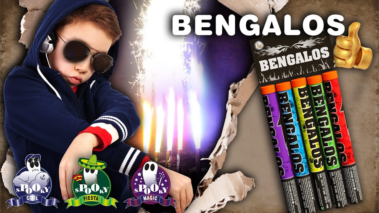 Bengalos - 04520  |  CAT F1  |  Official video