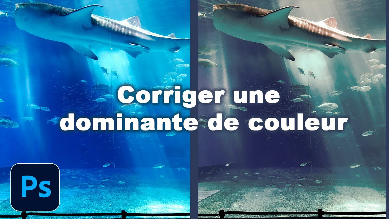 Tuto Ps : Comment corriger une dominante de couleur