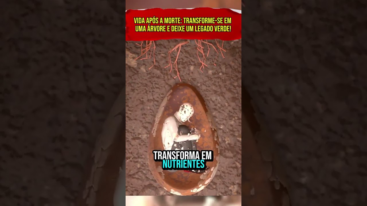 Vida Ap&oacute;s a Morte: Transforme-se em uma &Aacute;rvore e Deixe um Legado Verde!  #curiosidades