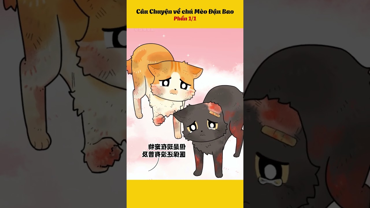 C&acirc;u Truyện Về Ch&uacute; M&egrave;o Đậu Bao Phần 1/1  #truyentranh #anime #hoathinh #haihuoc