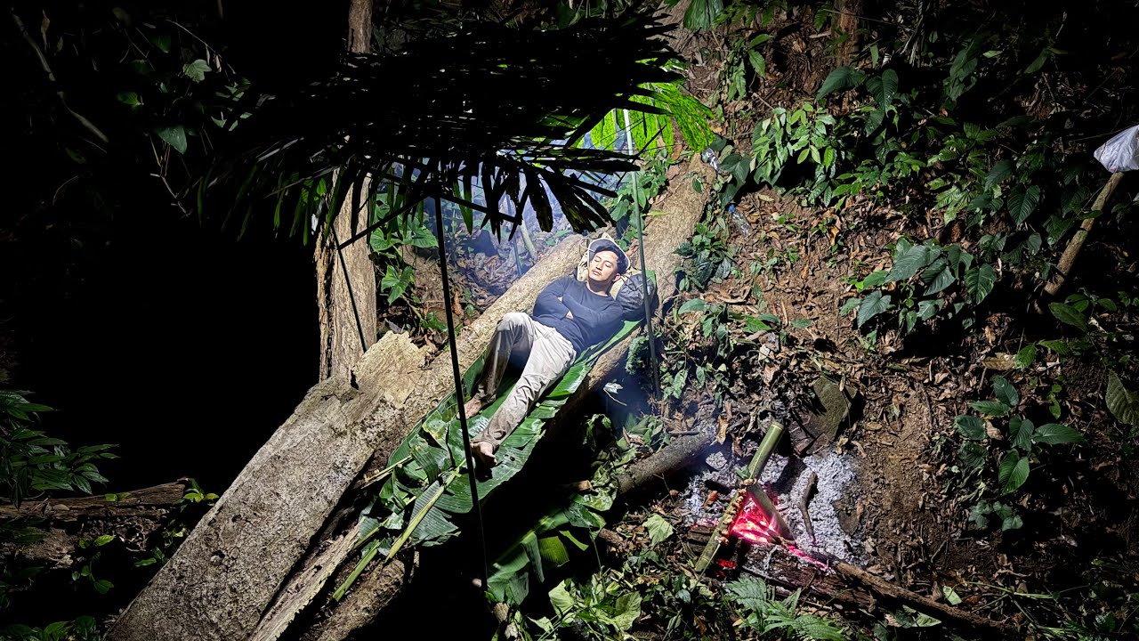 นอนป่าดงต้นไม้สูงใหญ่ ตกดึกมีเสียงร้องตะโกนดังลั่น ไม่เคยได้ยินอาจมีผวา!!