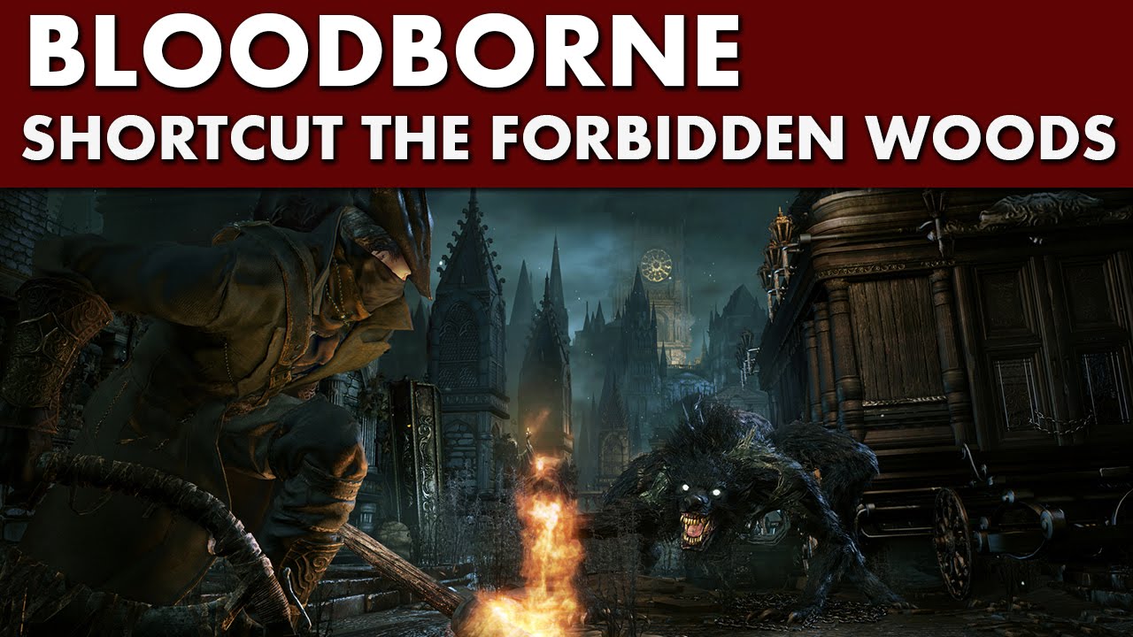 Bloodborne Shortcuts - Forbidden Woods Shortcut #2 - Elevator
