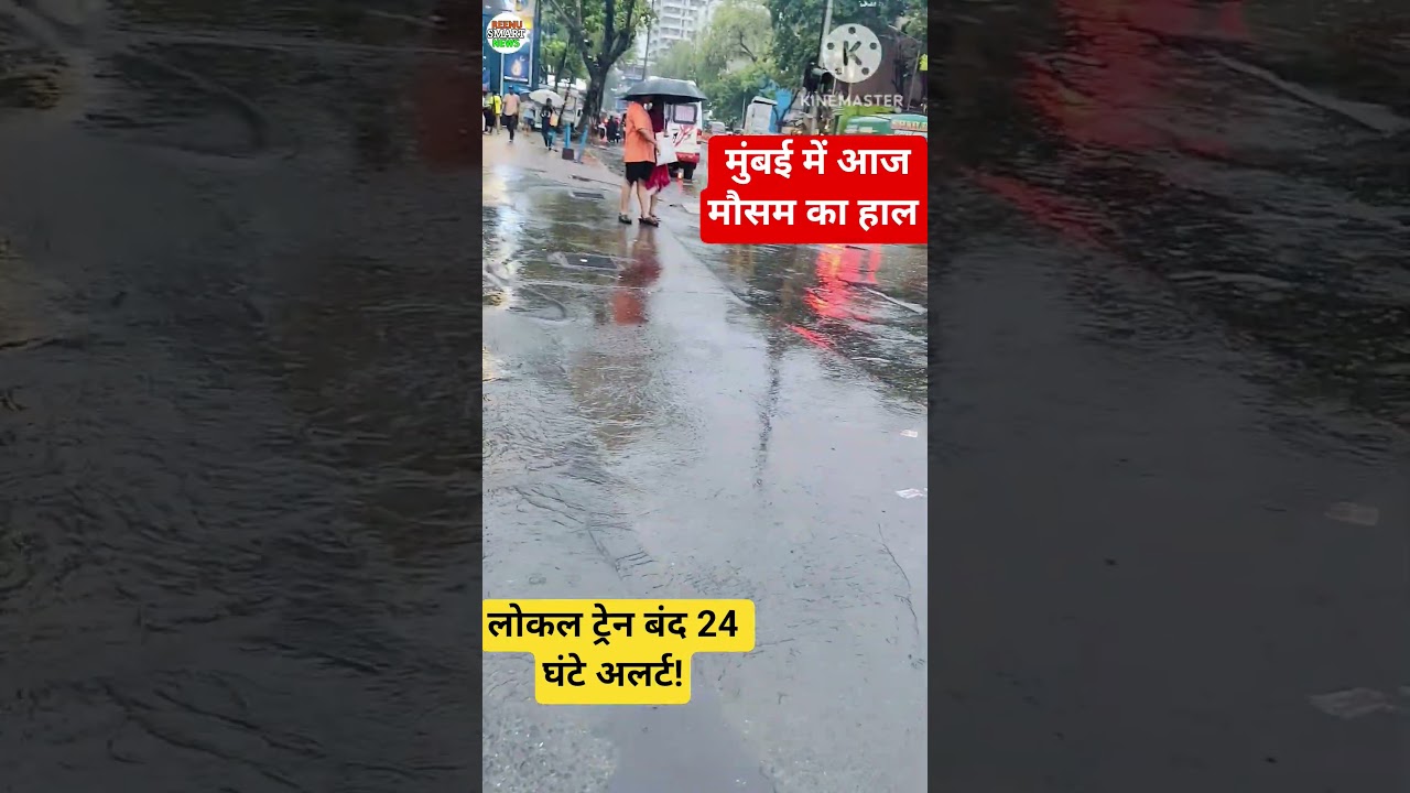 Mumbai Weather Update: Local Trains Halted, 24-Hour Alert Issued! Mumbai Rain News | Rain Alert
