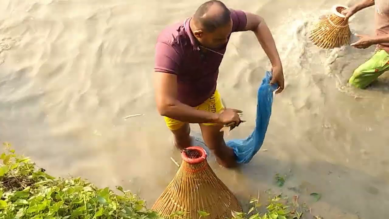  প্রাচীন পদ্ধতি পলো  দিয়ে মাছ ধরার উৎসব  । Traditional Polo Fishing Festival 2026