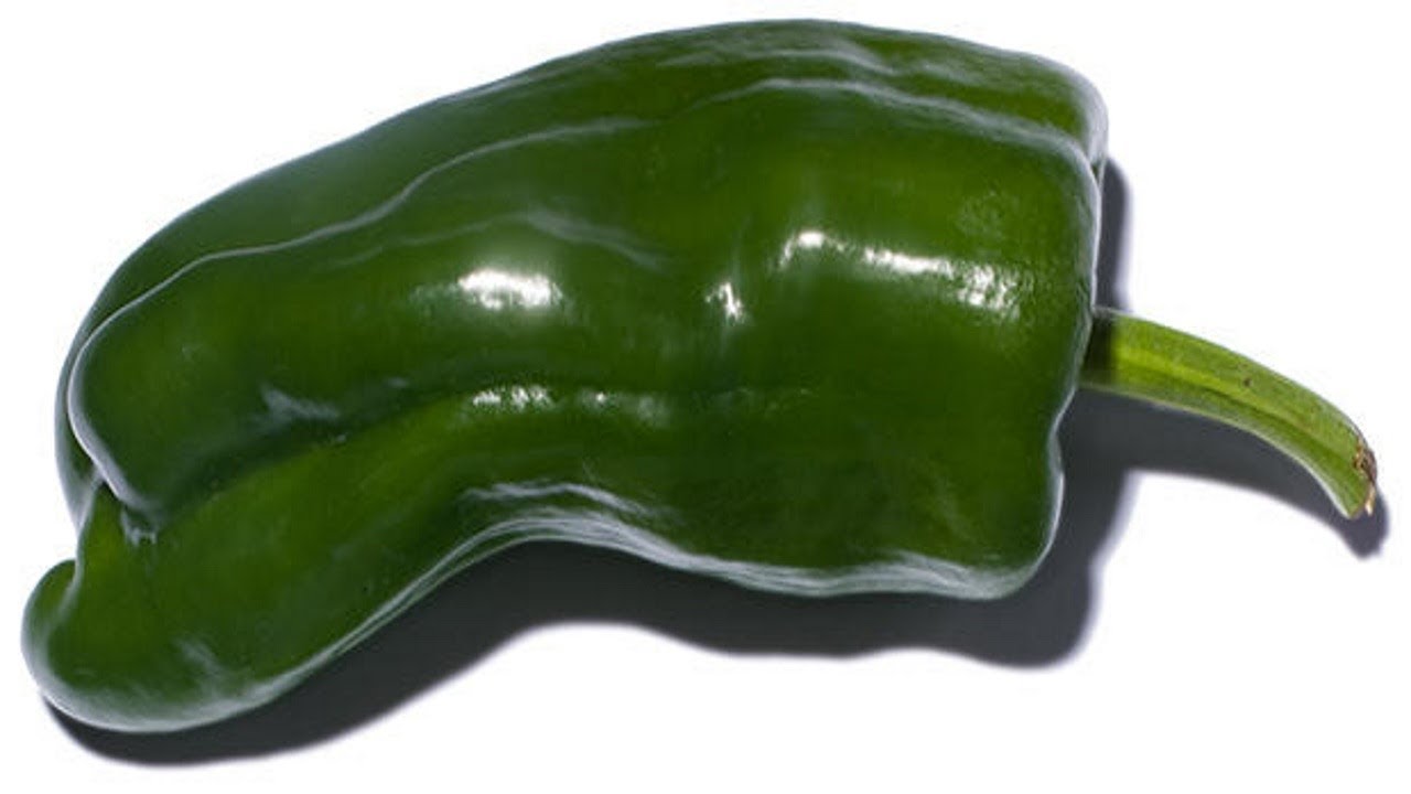 ⟹ Ancho перец чили, перец овощной, PLANT ОБЗОР