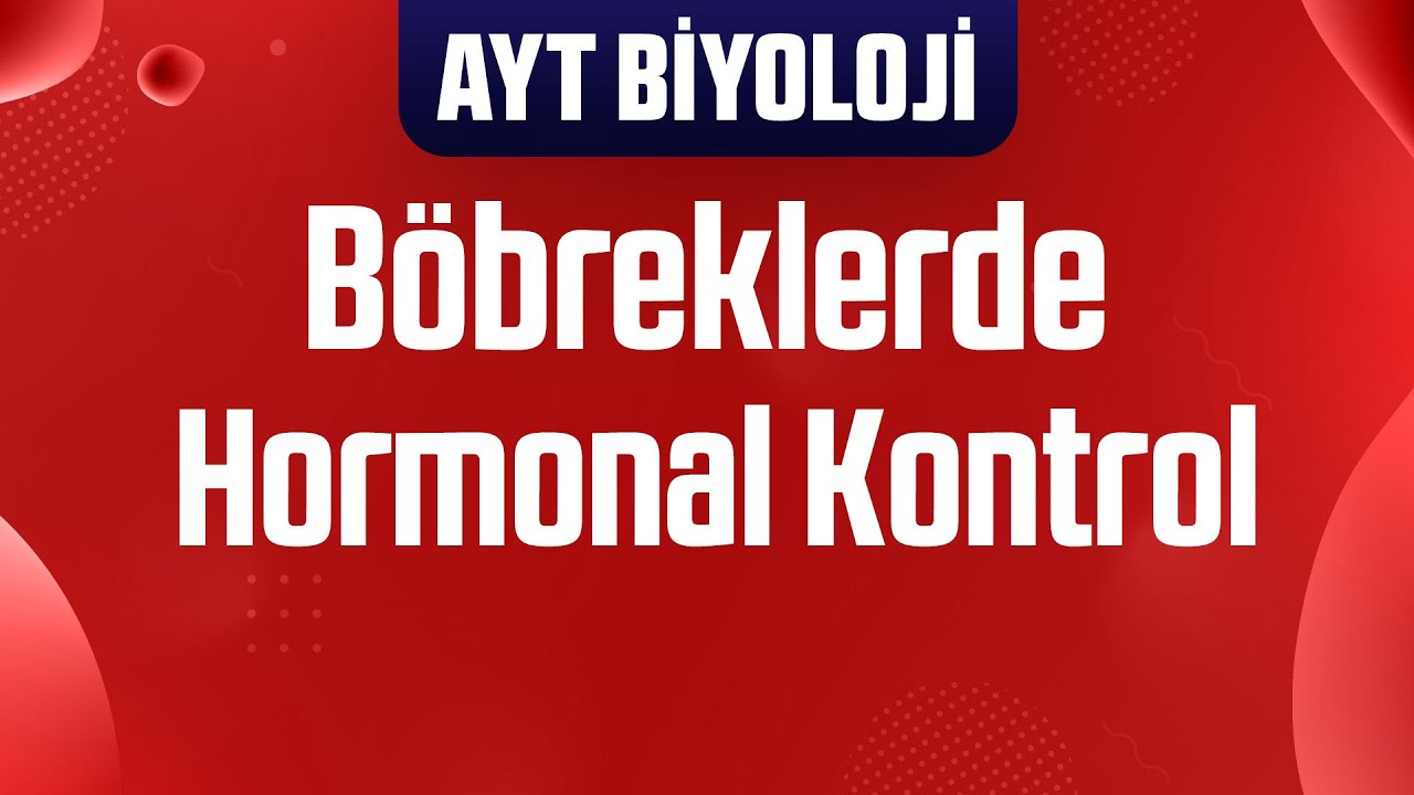 28) Proksimal ve Distal Tüp , Hormonal Kontrol ve Böbrek Hastalıkları