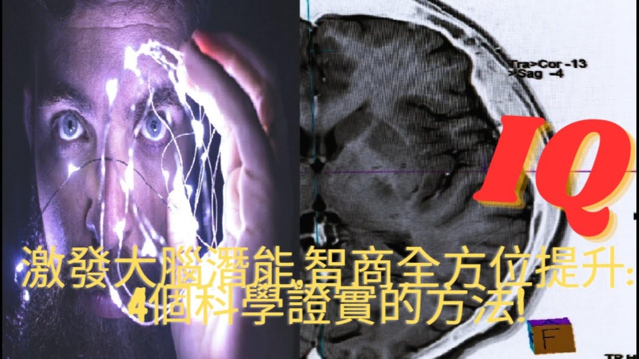 激發大腦潛能,邏輯全方位提升: 智商瞬間爆發!
