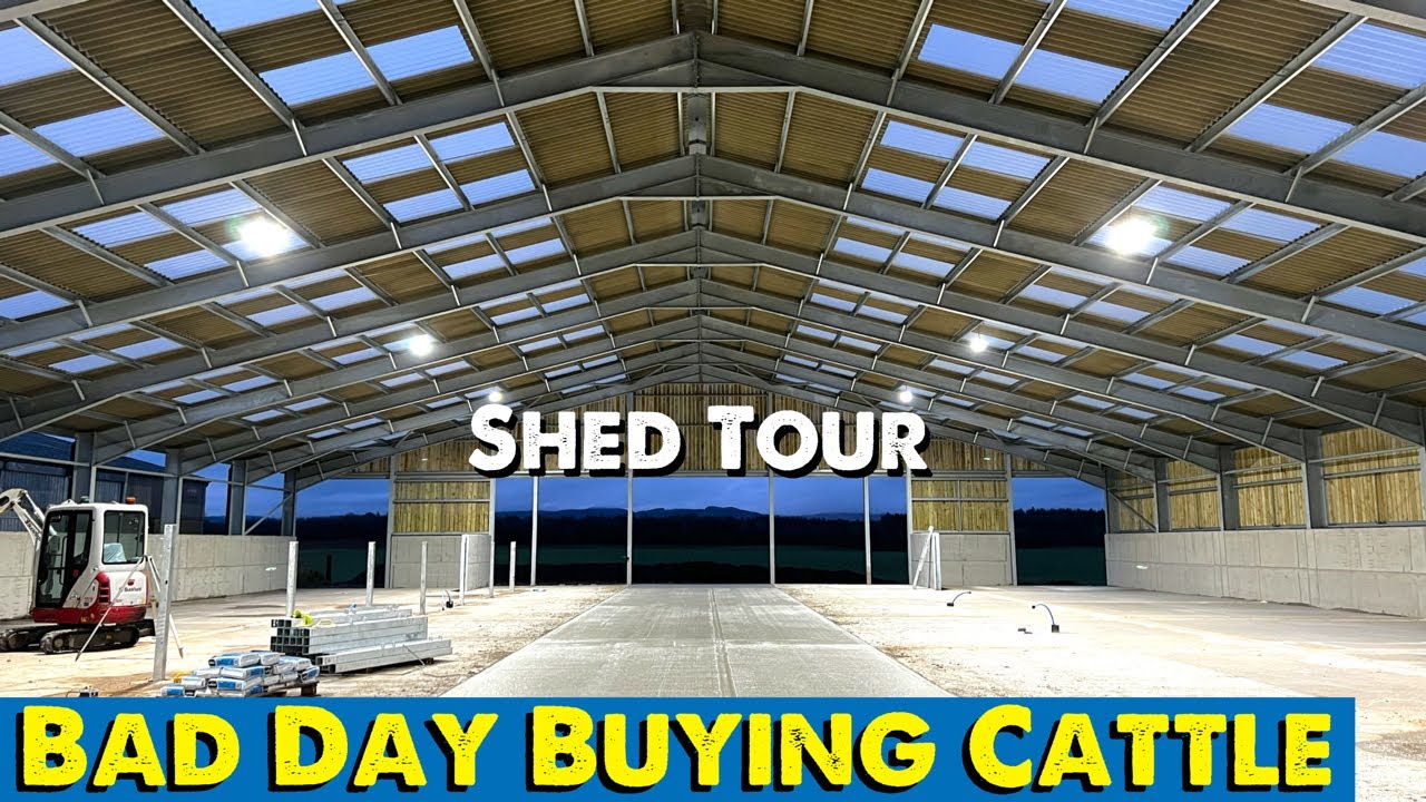 That Didn’t Go to Plan | Shed Tour