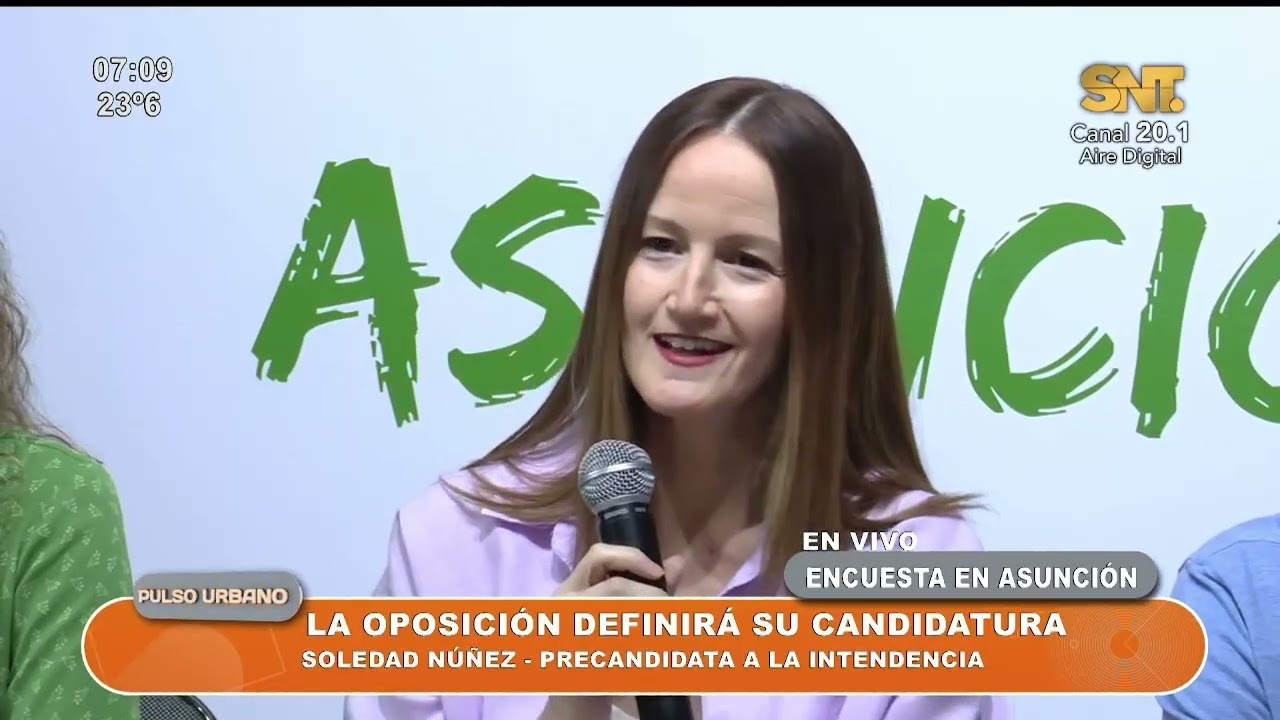 La oposición definirá su candidatura