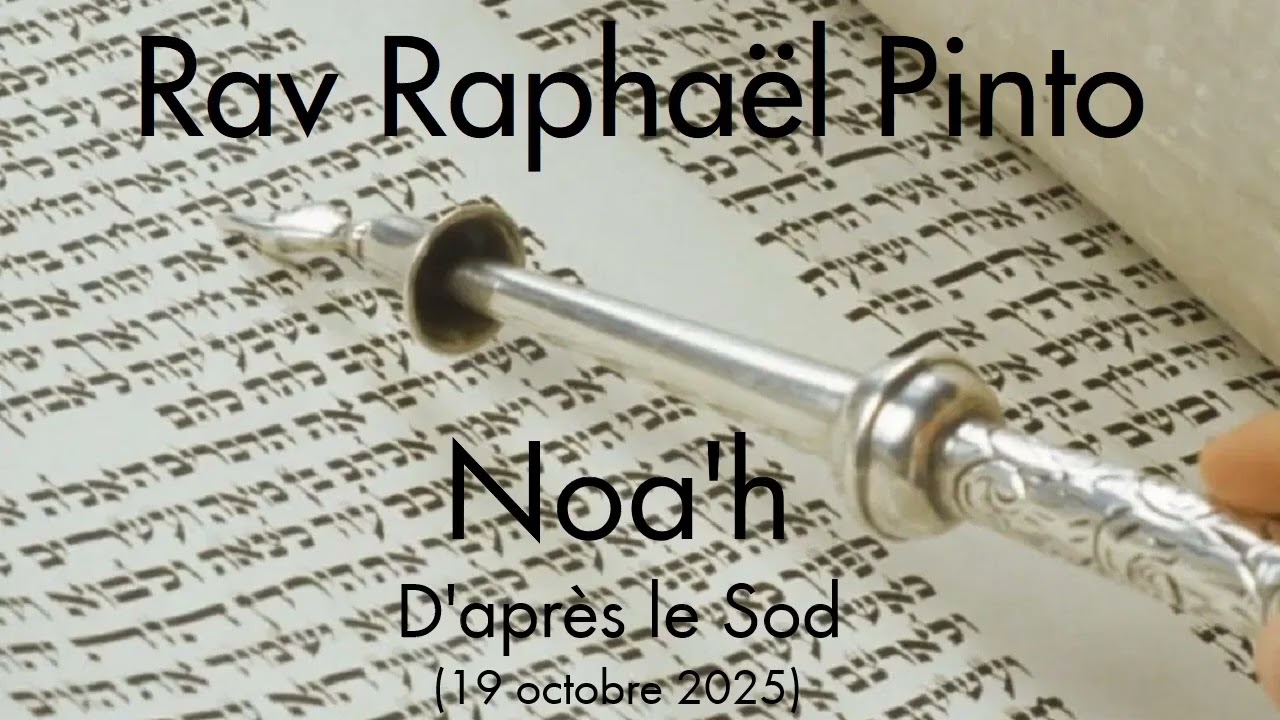 Rav Raphaël Pinto - 02 Noa'h (d'après le Sod)