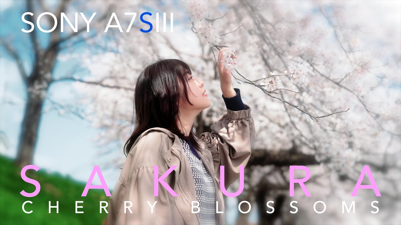 SONY A7S III | Cinematic Vlog | シネマティック | ブラックミスト |  NiSi Black Mist 1/4 | 白石川堤一目千本桜