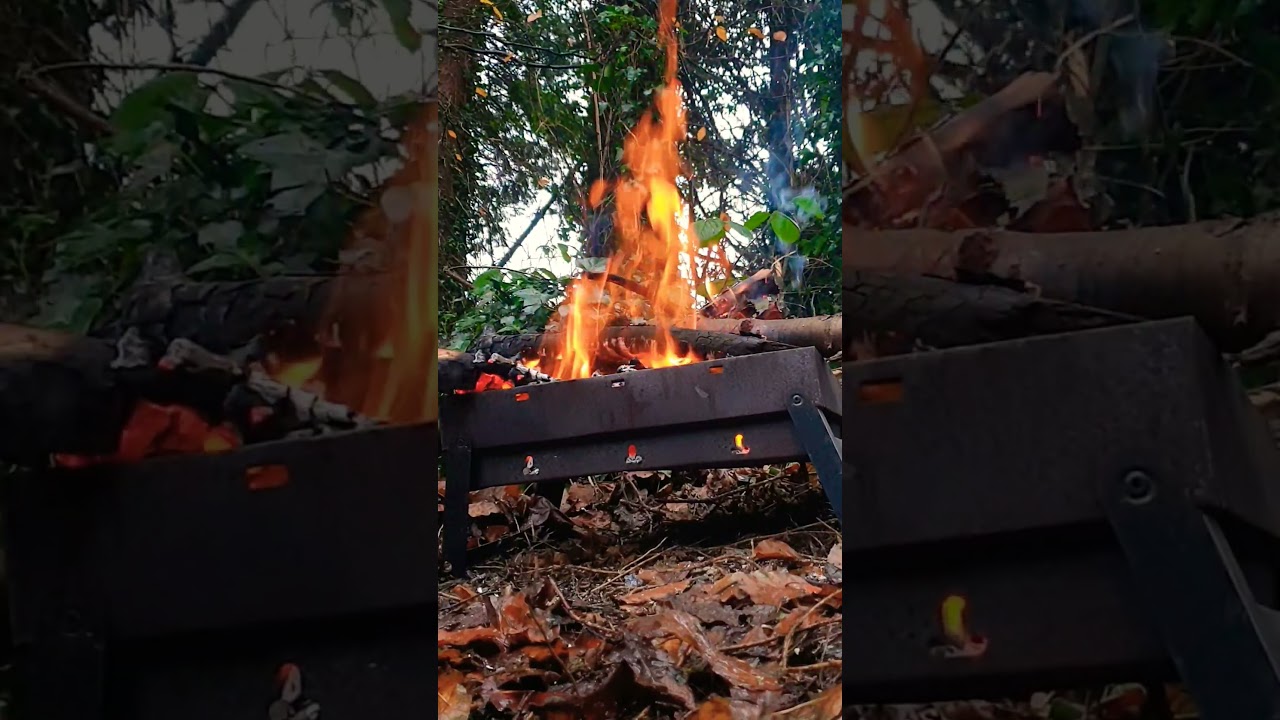 Fire in the forest. Ireland. Relaxing and meditation video. Real sounds of nature 4K #fire