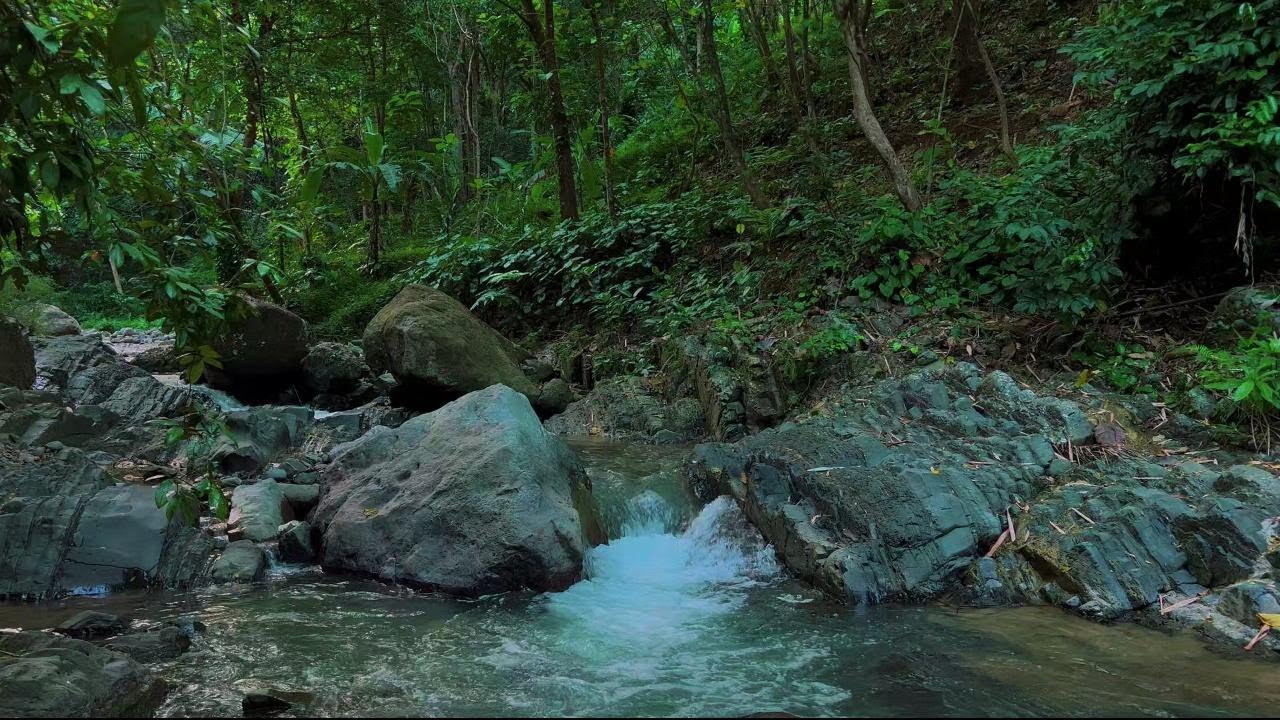 Relaxing Deep River Ambience for Sleep Aid and Insomnia | Nature Water Flow for Meditation | 4K-HDR