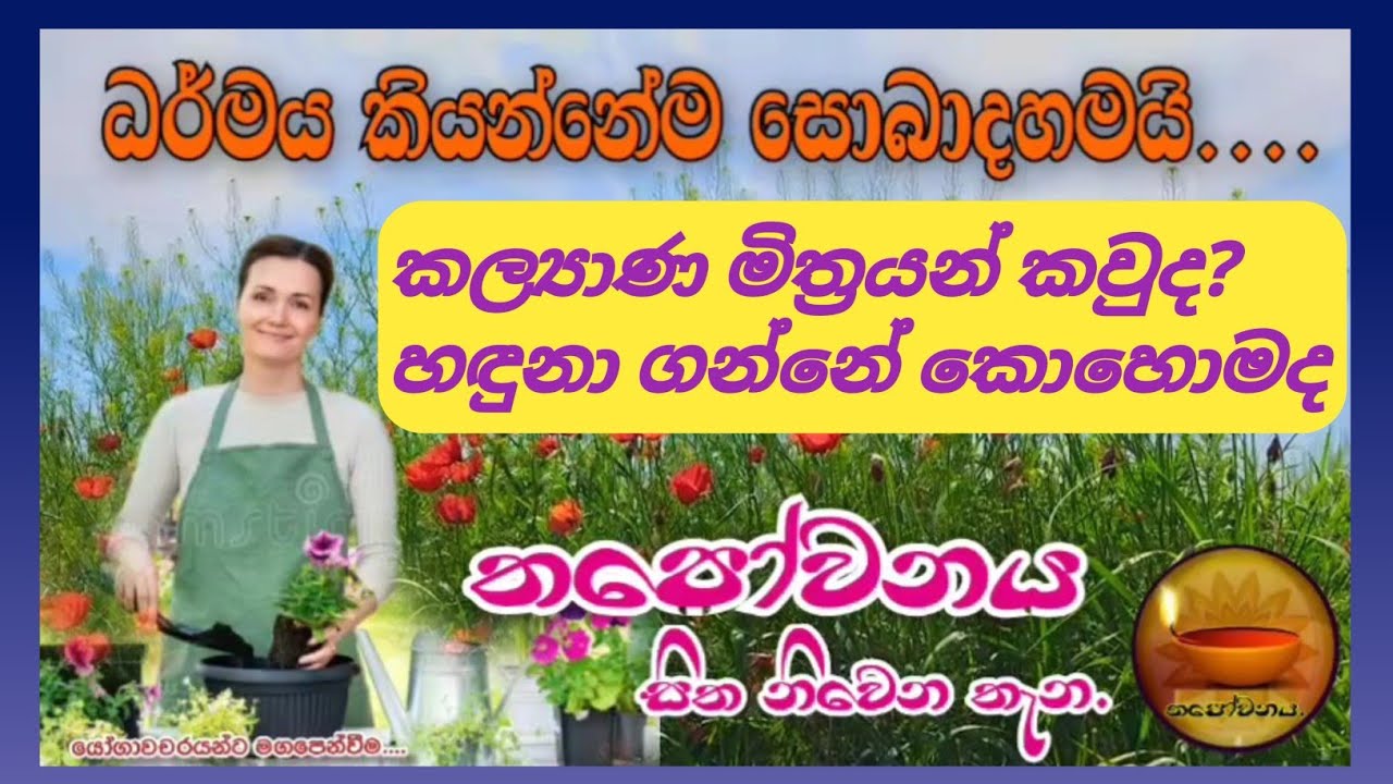 ධර්මය සොයාගෙන ගිහින් නැවතුනේ සත්‍යය ධර්මය මතයි#Thapowanaya සිත නිවෙන තැන 🧎